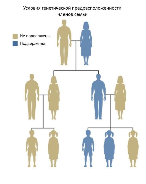 Шизофрения - условия генетической предрасположенности членов семьи